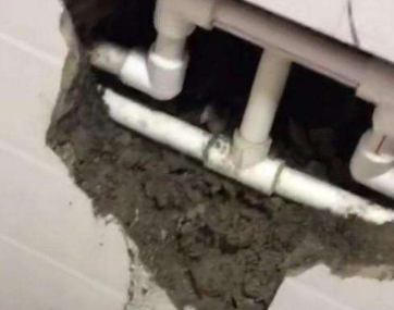 定州市卫生间漏水哪家好