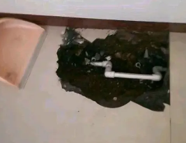 定州市卫生间测漏水多少钱