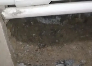 定州市卫生间测漏水多少钱